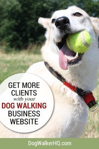 Dog Walking Service Website