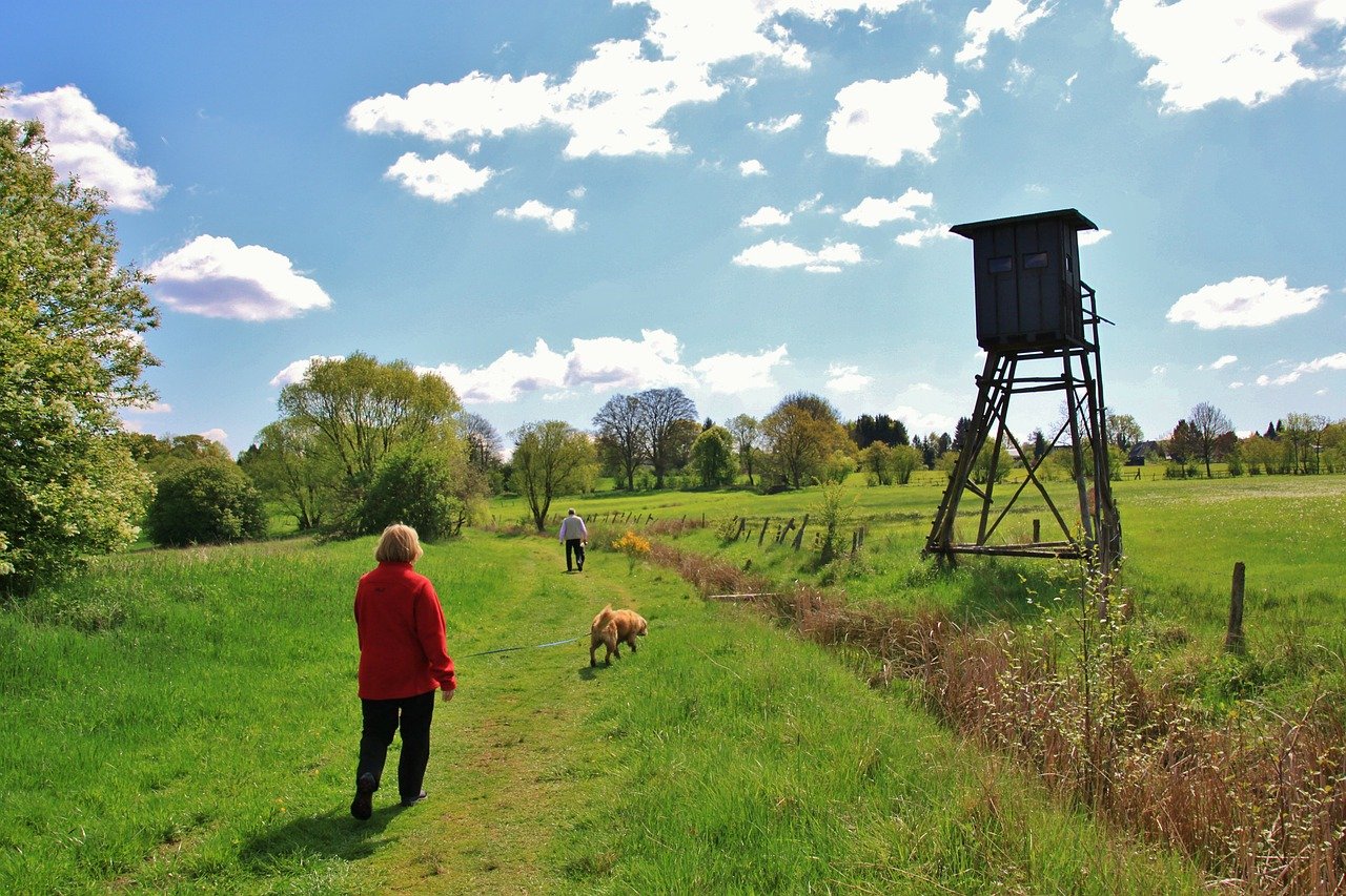 dog walker